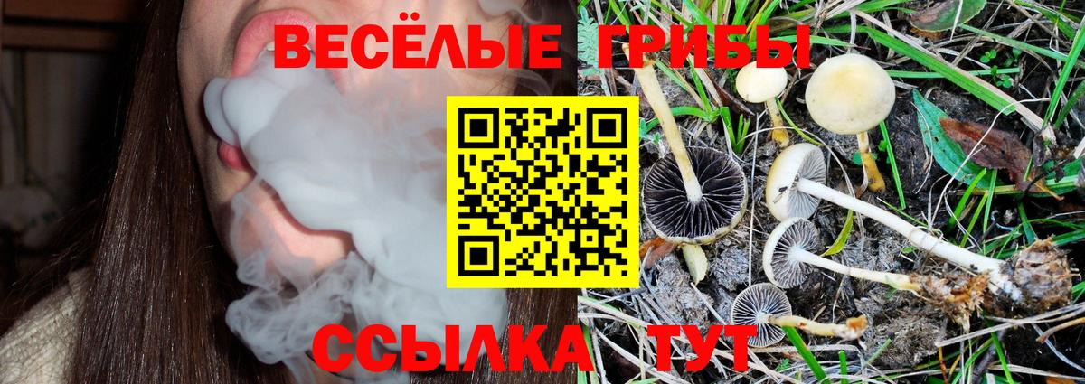Котельники  Галлюциногенные грибы MAGIC MUSHROOMS  Вход с VPN 